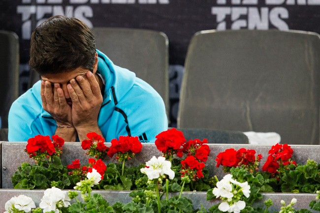 fernando-verdasco