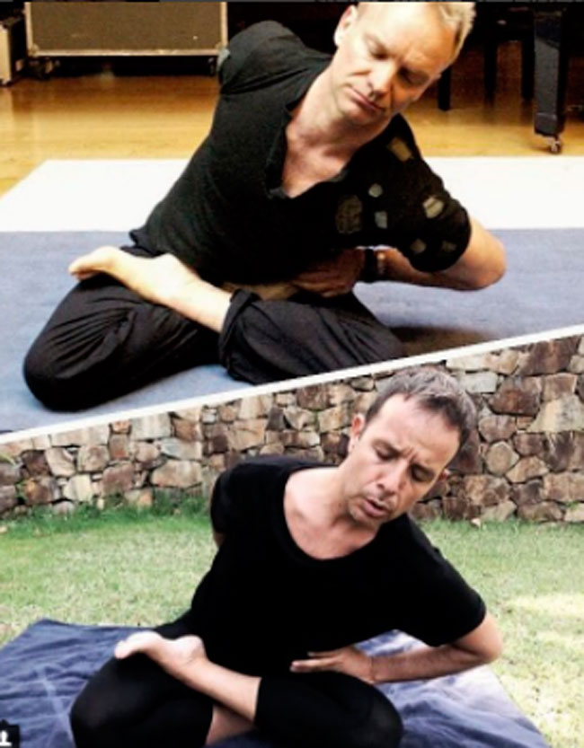 tambien-sting