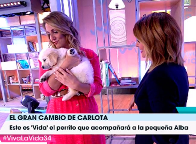 un-nuevo-miembro-en-la-familia