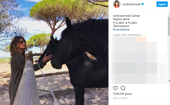 dusfrutando-en-pareja-de-los-animales