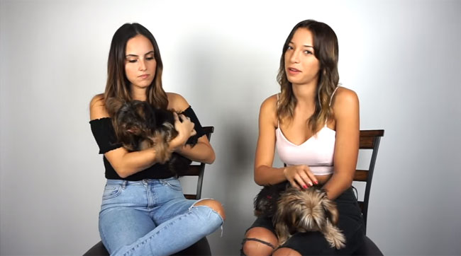 lo-ha-contado-en-youtube
