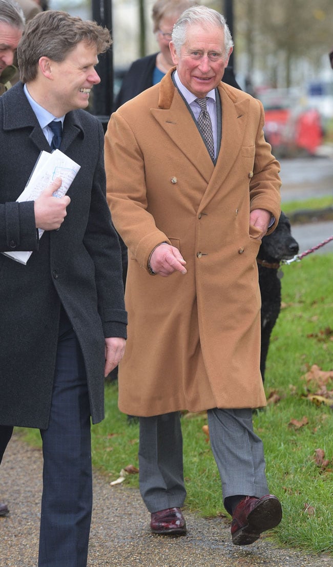 La alegría del príncipe Carlos tras el anuncio de compromiso de su hijo Harry