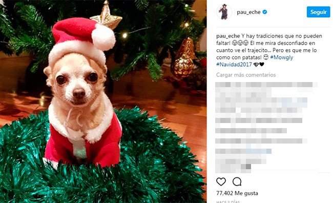 la-navidad-una-fecha-muy-importante-para-paula