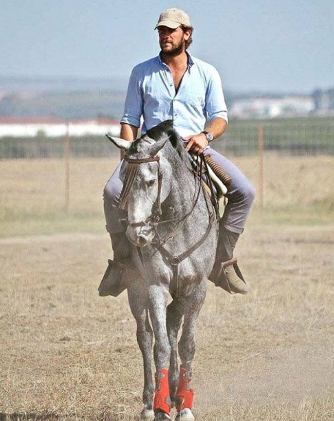 pasion-por-los-caballos