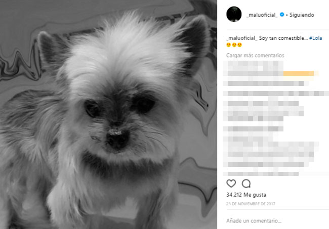 adoracion-por-ella