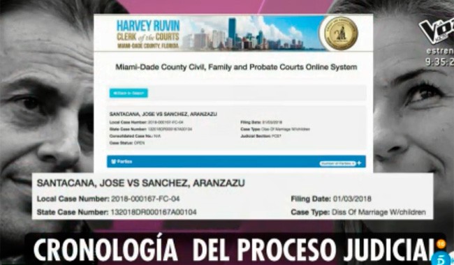 peticion-de-la-custodia-de-los-hijos