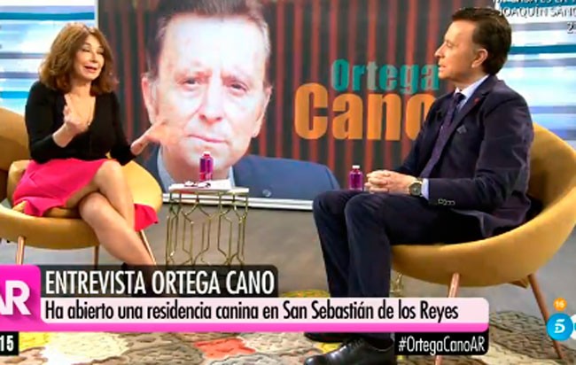 soy-como-el-ave-fenix