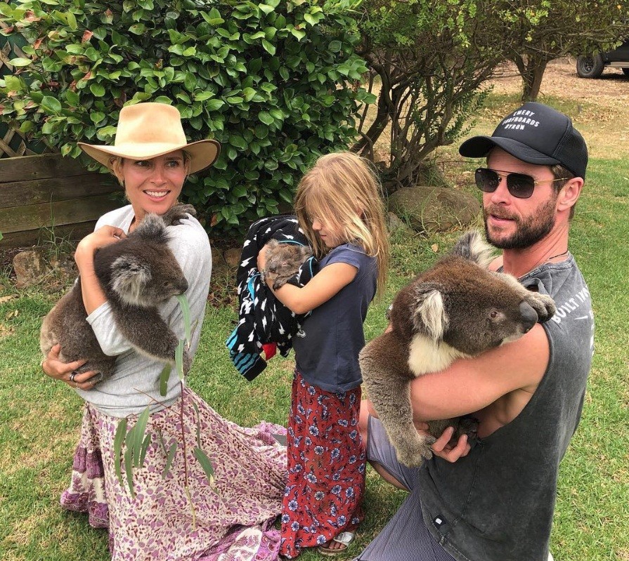 entre-koalas-y-canguros
