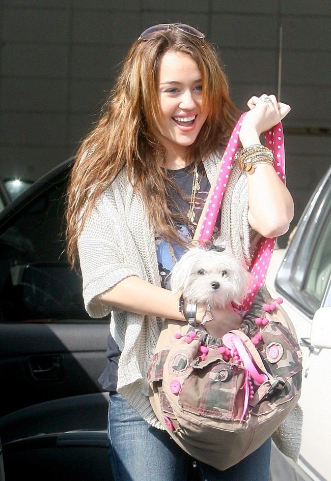 la-cantante-miley-cyrus