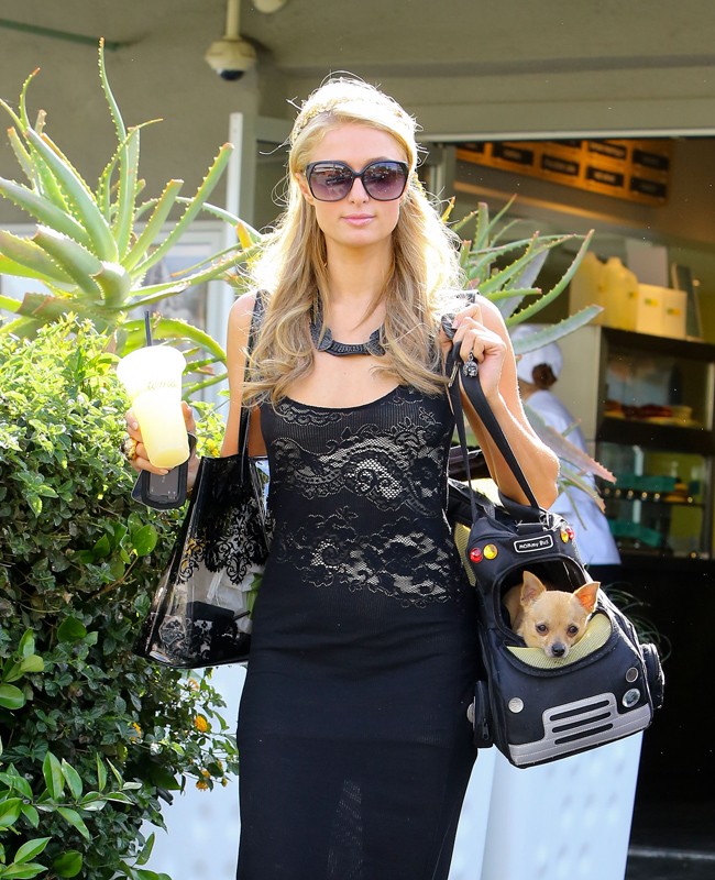 la-dj-paris-hilton