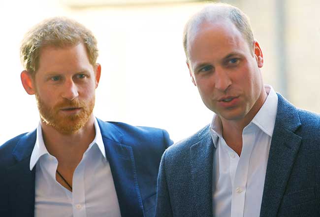 Harry y Guillermo de Inglaterra / Gtres