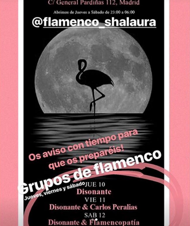 grupos-de-flamenco
