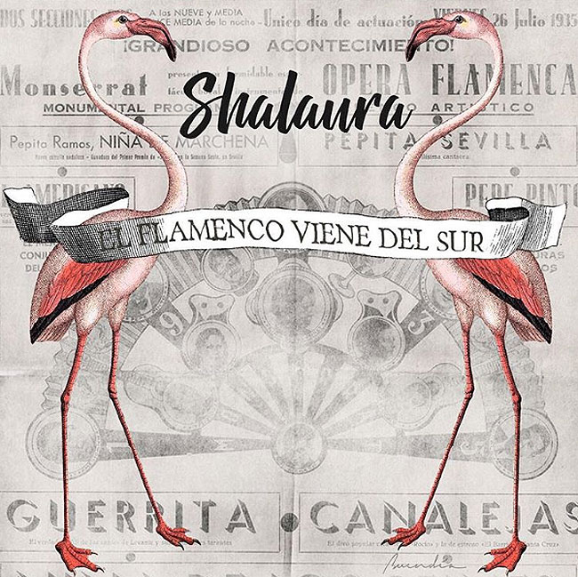 el-flamenco-viene-del-sur