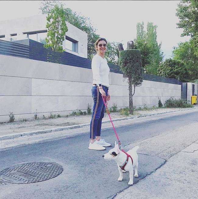 sacar-a-pasear-su-perro-es-la-excusa-perfecta-para-quemar-calorias