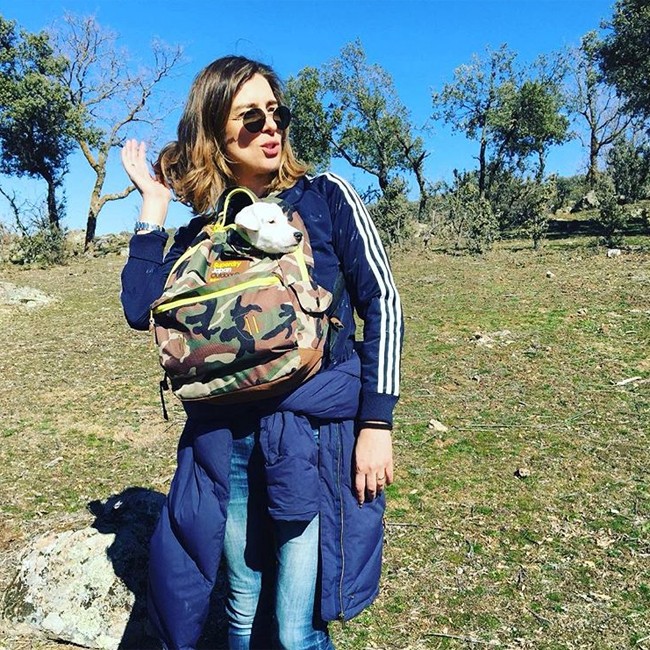 deporte-deporte-deporte-y-paseos-con-el-perrito