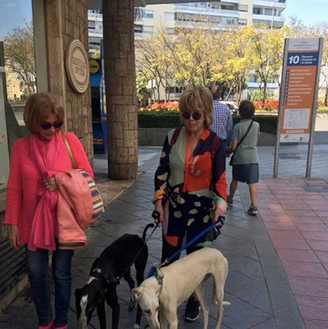 a-sevilla