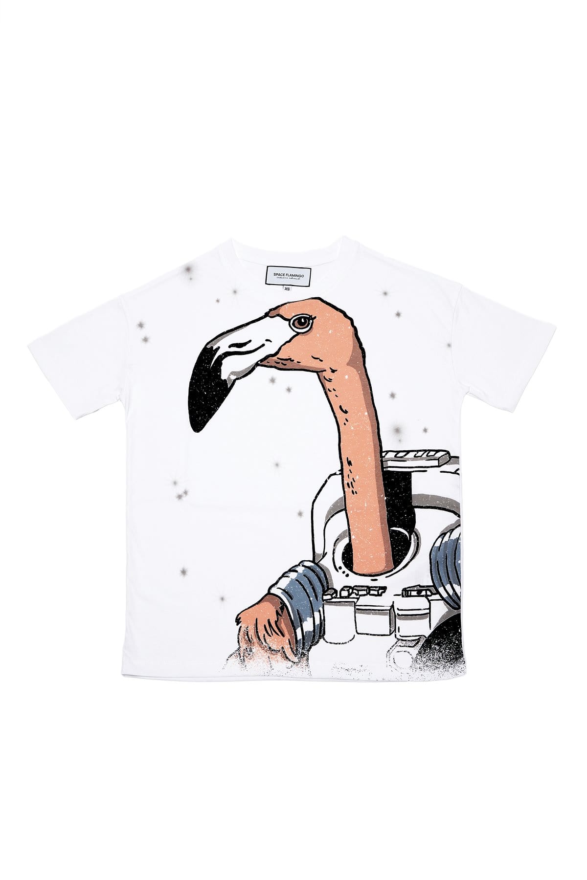 space flamingo (1)-min