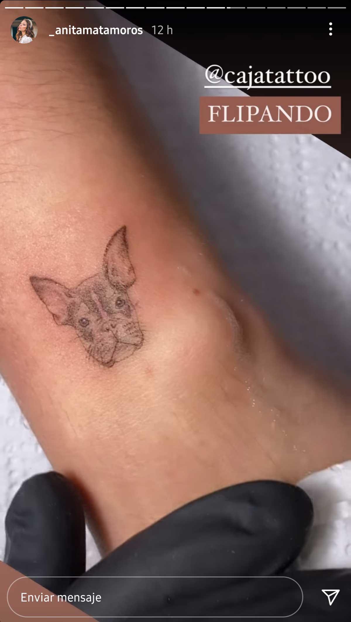 El nuevo tatuaje que Anita Matamoros dedica a un miembro de su familia