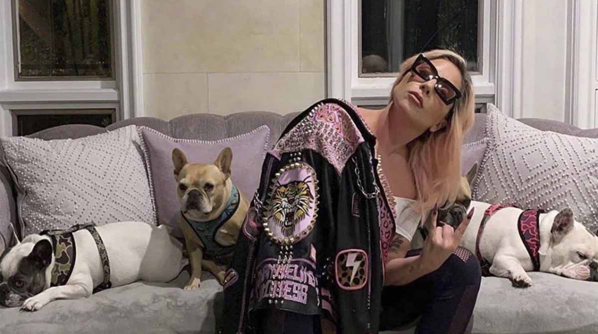 El vídeo del momento en el que roban a tiros los perros de Lady Gaga