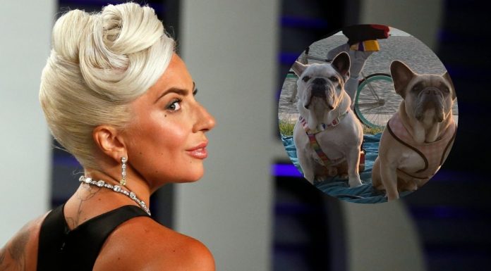 Lady Gaga recupera a los dos perros que le habían robado