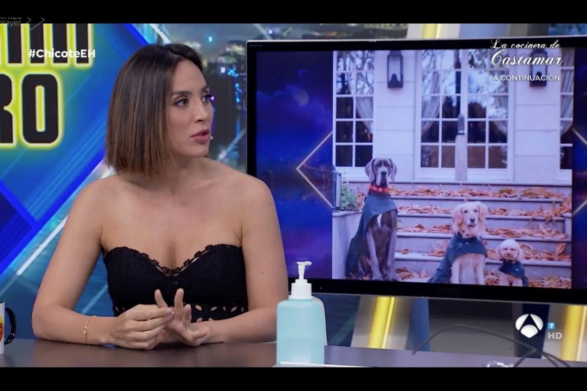 Tamara Falcó habla por primera vez de su exnovio de Vox