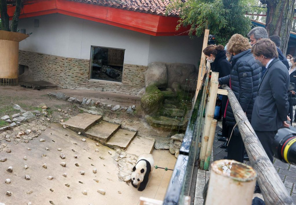 La Reina Sofía se derrite con sus queridos osos panda en el zoo