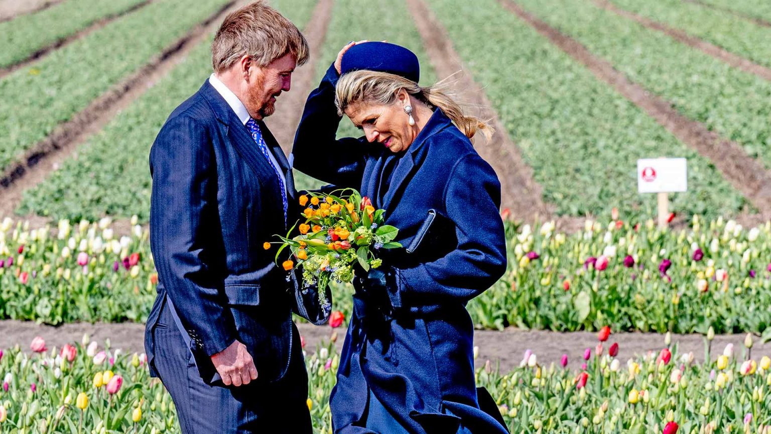 Máxima de Holanda, en divertidos apuros en un campo de tulipanes