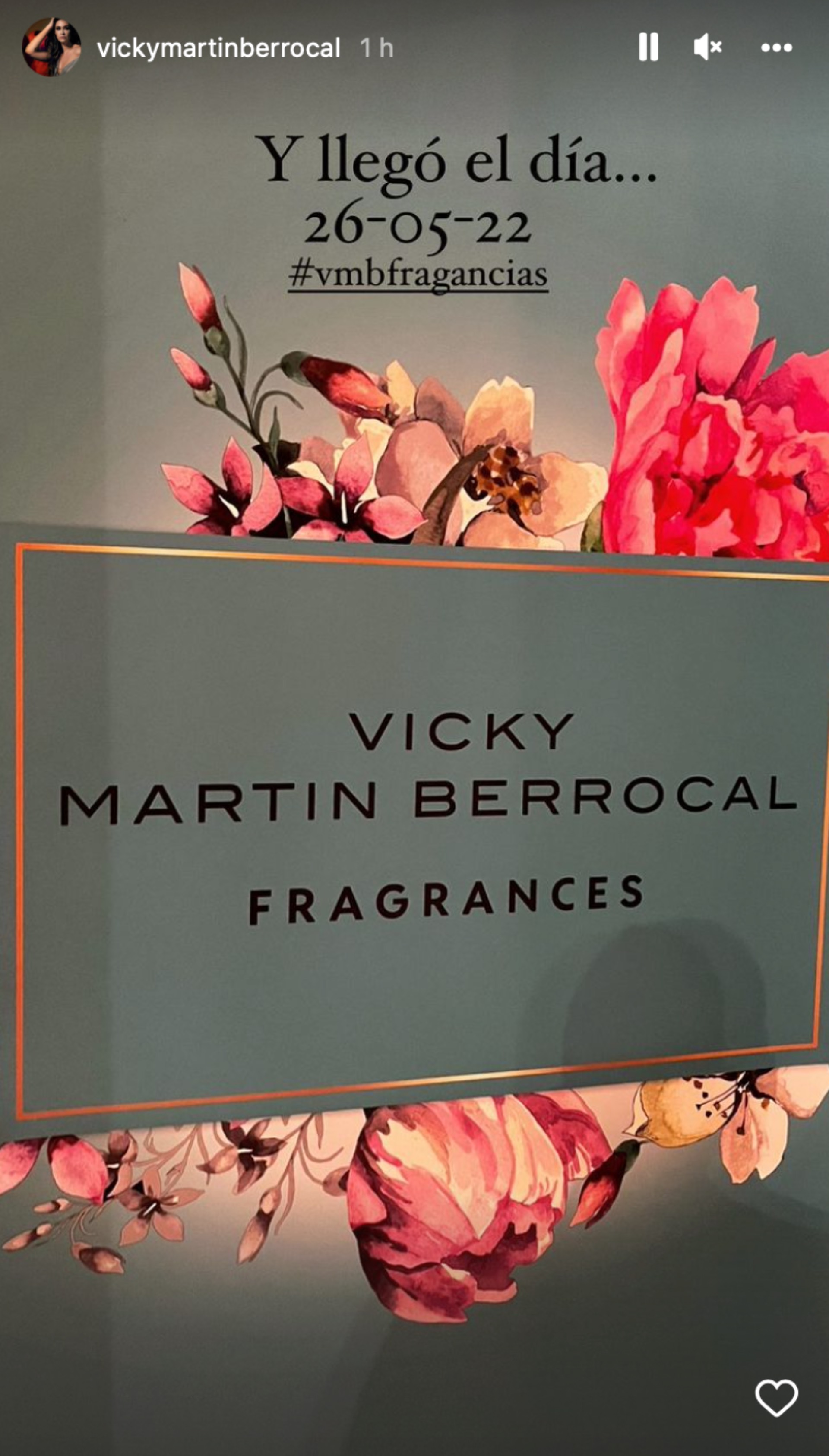 Perfume Vicky Martín Berrocal