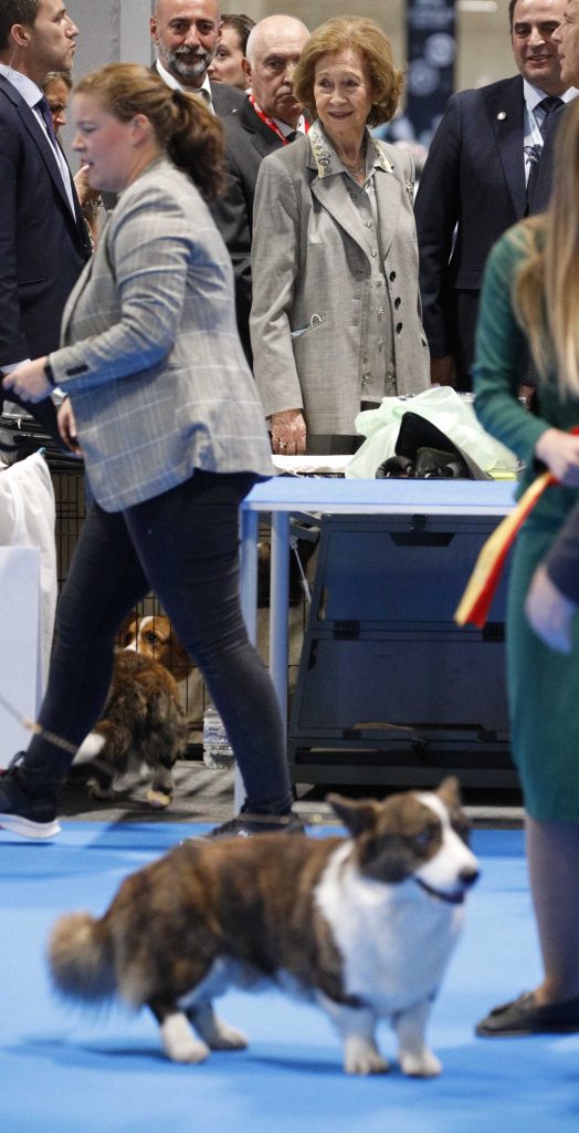 La Reina Sofía (incansable) remata entre perritos una semana con más trabajo que Letizia