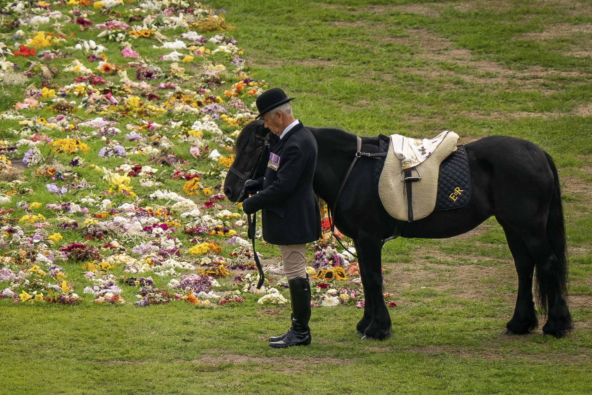 Los perros (y el caballo) de Isabel II se despiden de la reina en su funeral