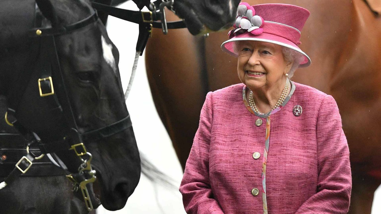 Carlos III vende los caballos de su madre, la reina Isabel II, por un millón de libras tras su muerte
