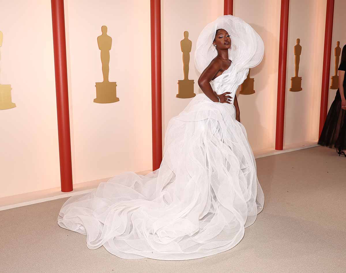 Aluvión de críticas contra una invitada a los Premios Oscar: roba toda la visión al público con su vestido