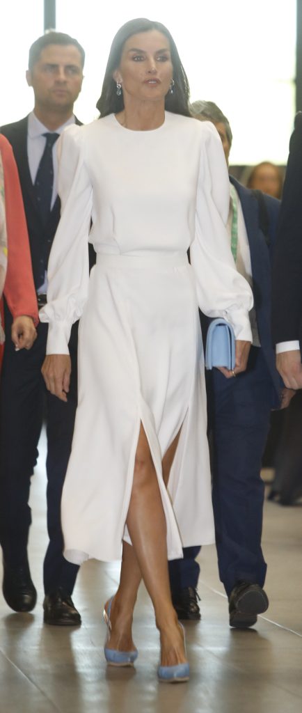 La Reina Letizia apuesta por su vestido más misterioso combinado con toques de azul