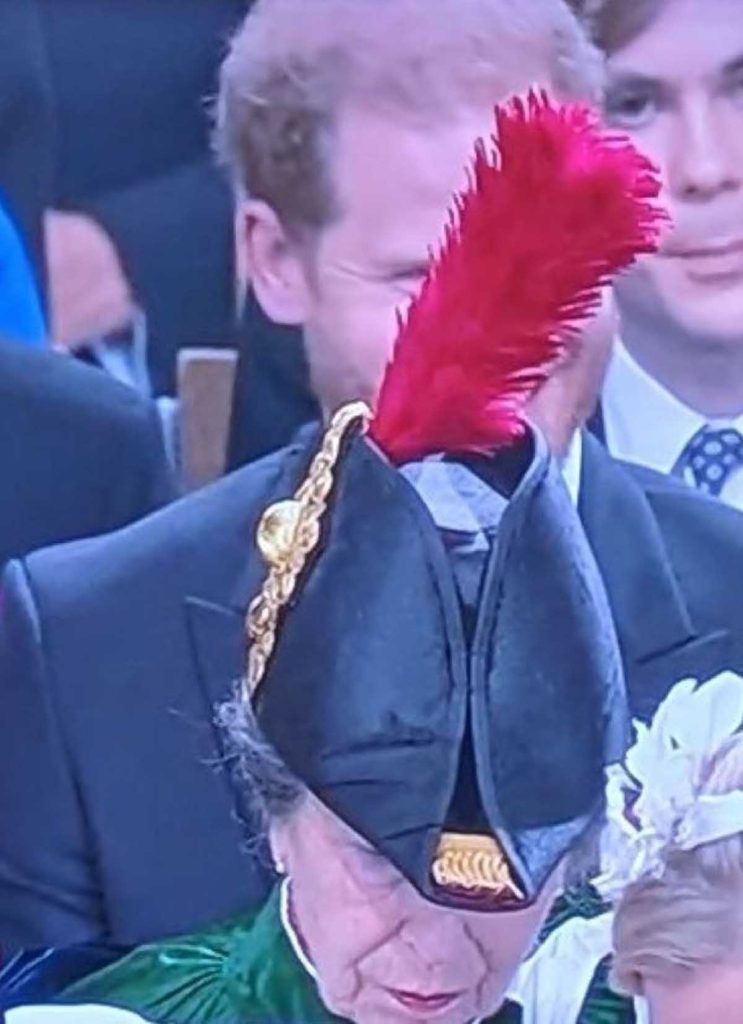 Harry, sin visión en la abadía por culpa de la pluma en el sombrero de la princesa Ana