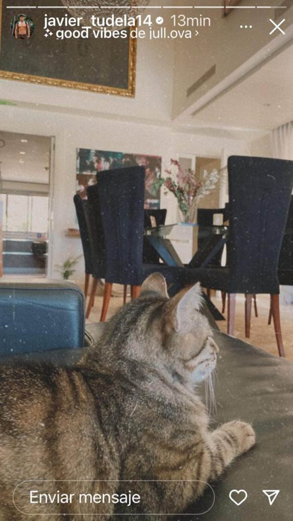 Javier Tudela se fotografía en casa junto a su gato