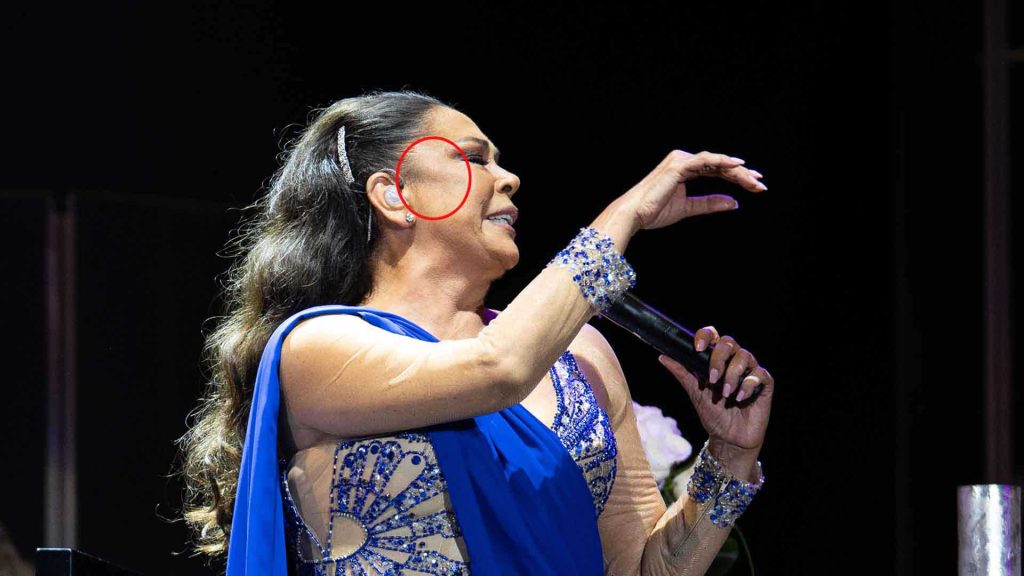 Isabel Pantoja en su concierto de Gran Canaria
