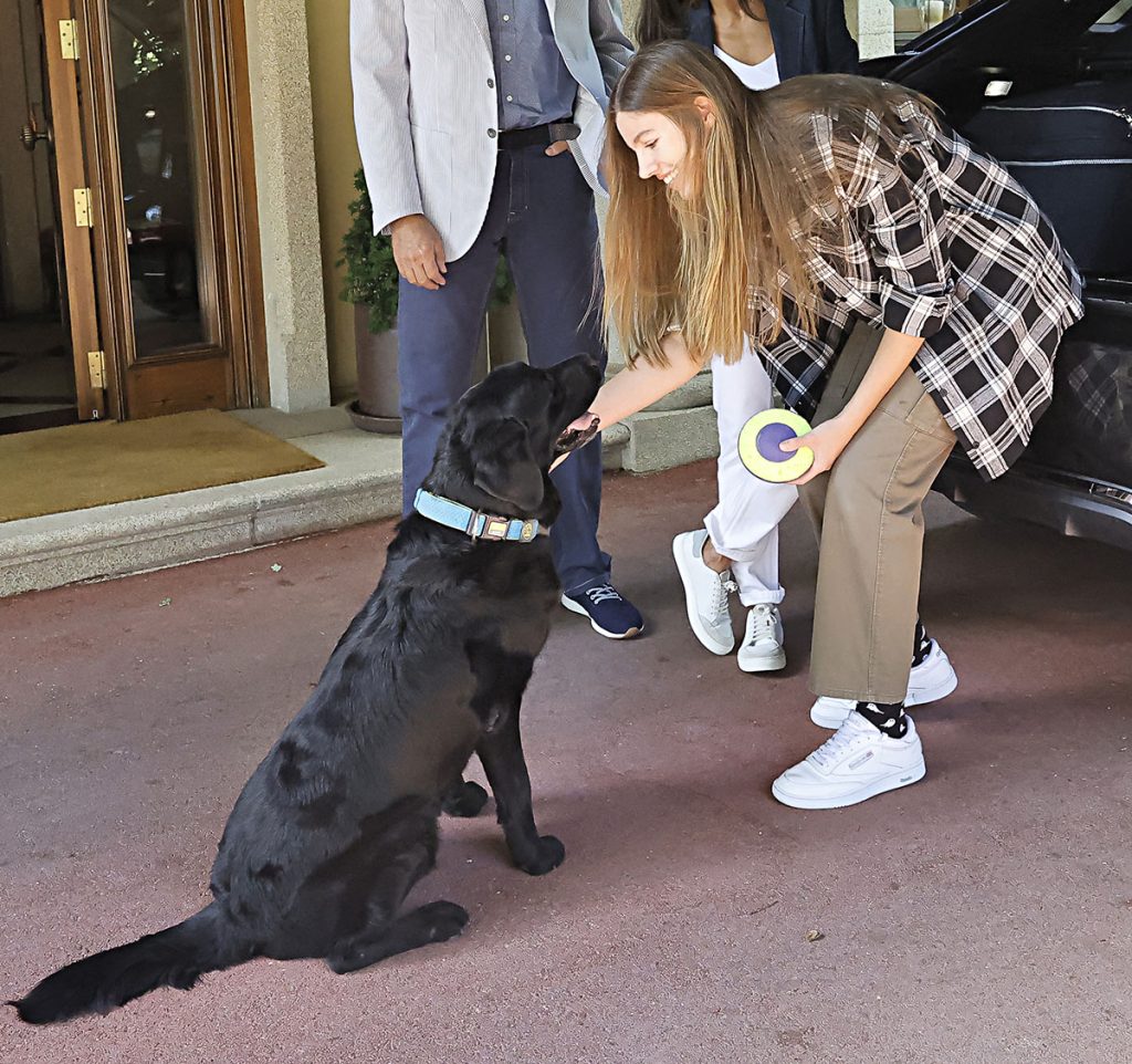 La Familia Real y su pasión por los perros: las fotos de las mascotas 'reales'