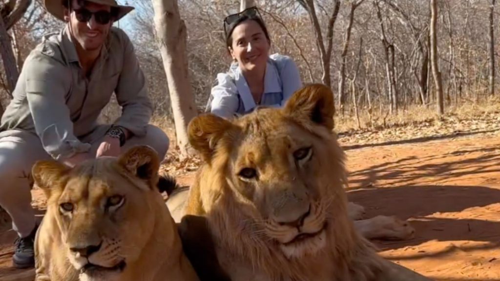 Tamara Falcó e Íñigo Onieva llegan a Zambia: lucha de monos y posado con leones