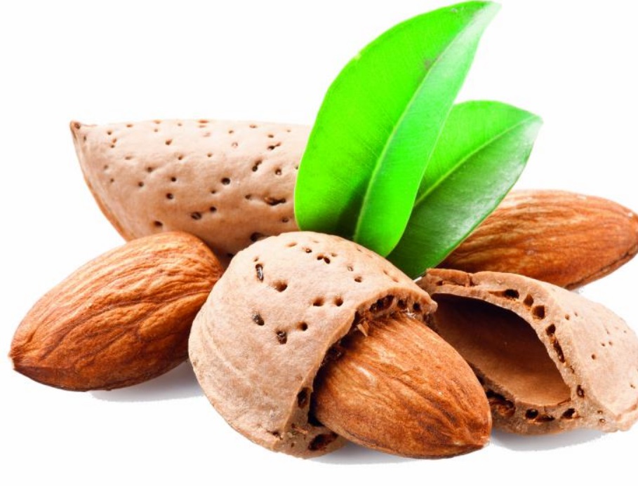 Alimentos que combaten el estrés y la ansiedad