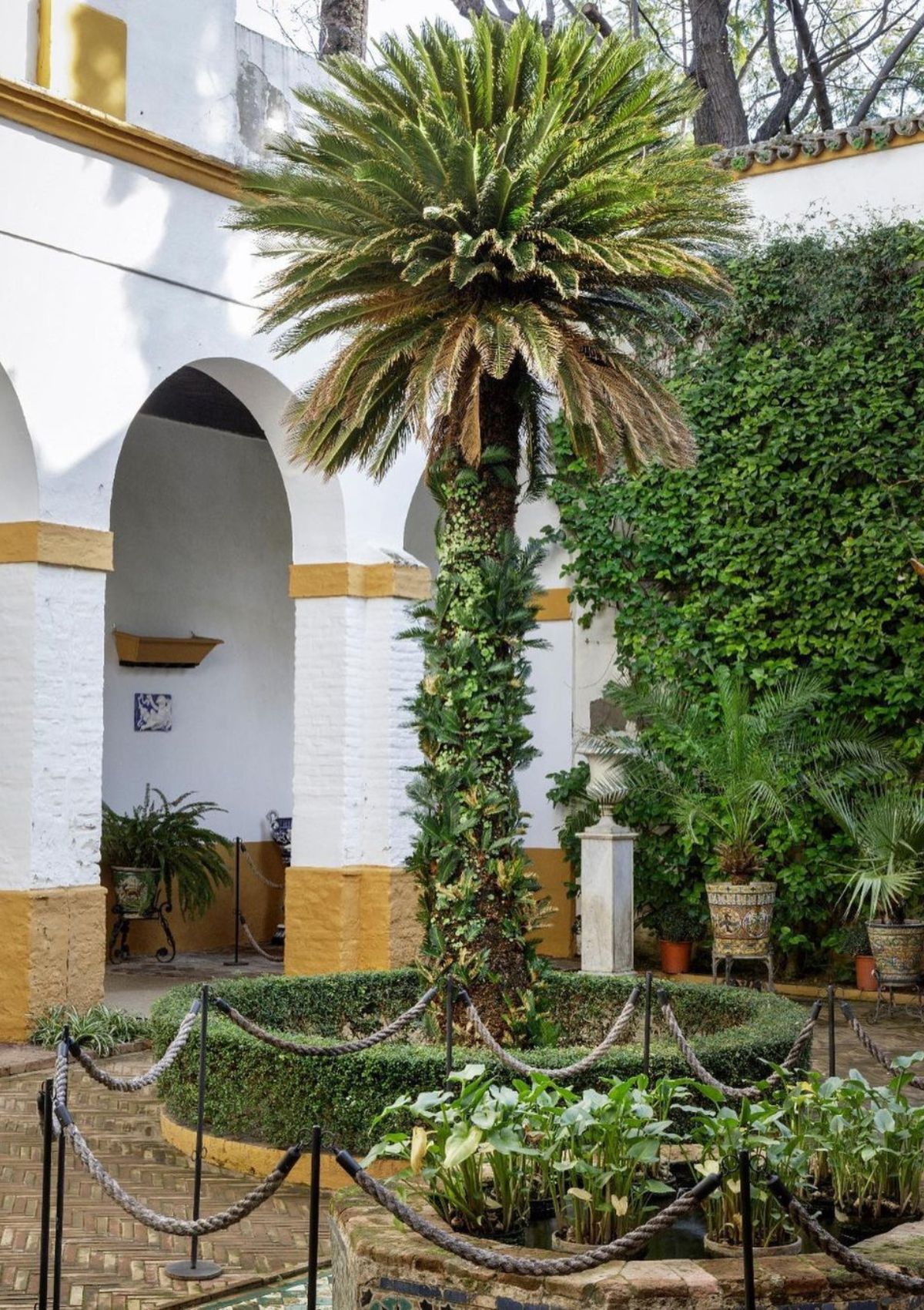 El Palacio de Dueñas, por dentro: así es el escenario del bautizo del bautizo de Sofía, la hija de los duques de Huéscar