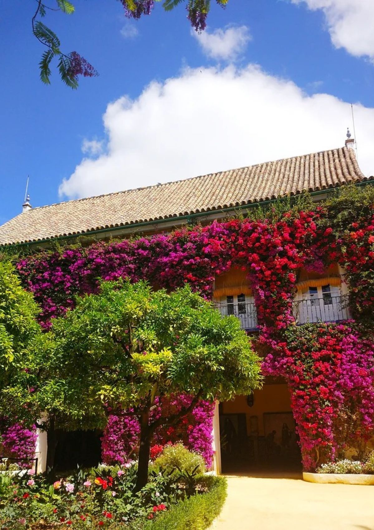 El Palacio de Dueñas, por dentro: así es el escenario del bautizo del bautizo de Sofía, la hija de los duques de Huéscar