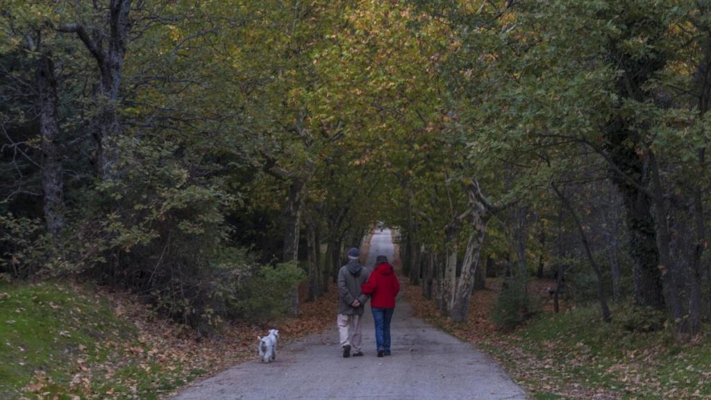 Bosque de la Herrería