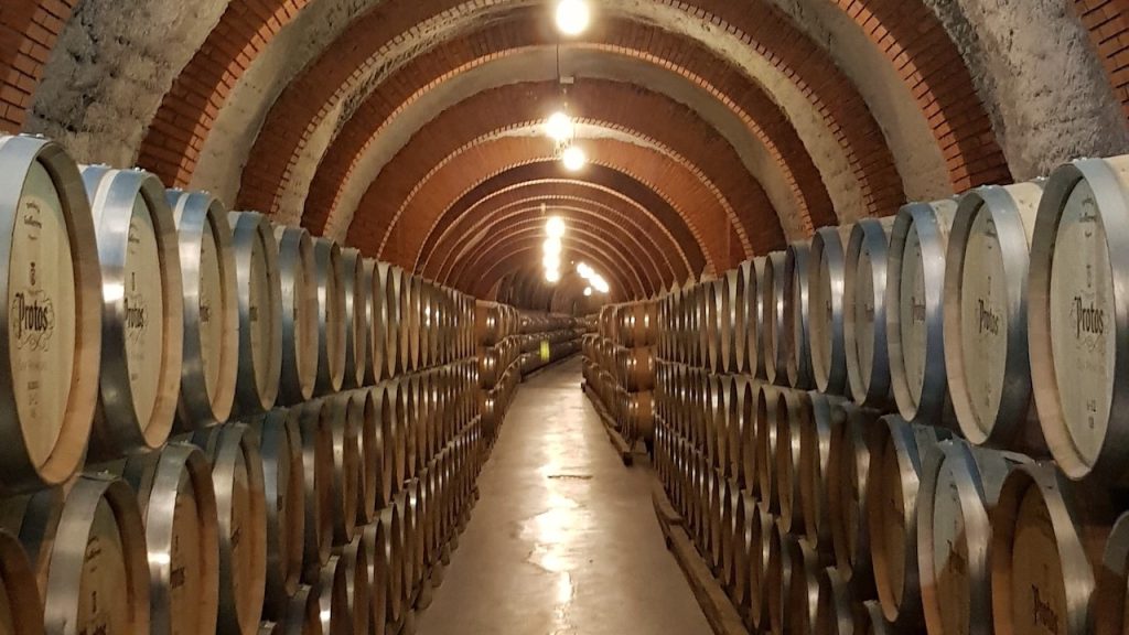 Enoturismo: las mejores bodegas de España para visitar y degustar buenos vinos (y tapas)