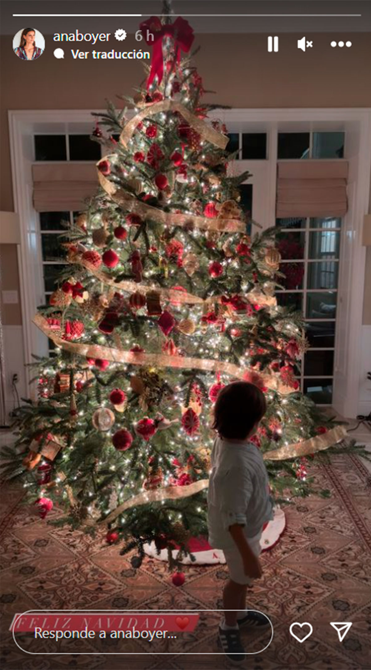 Ana Boyer enseña el árbol de Navidad en Miami