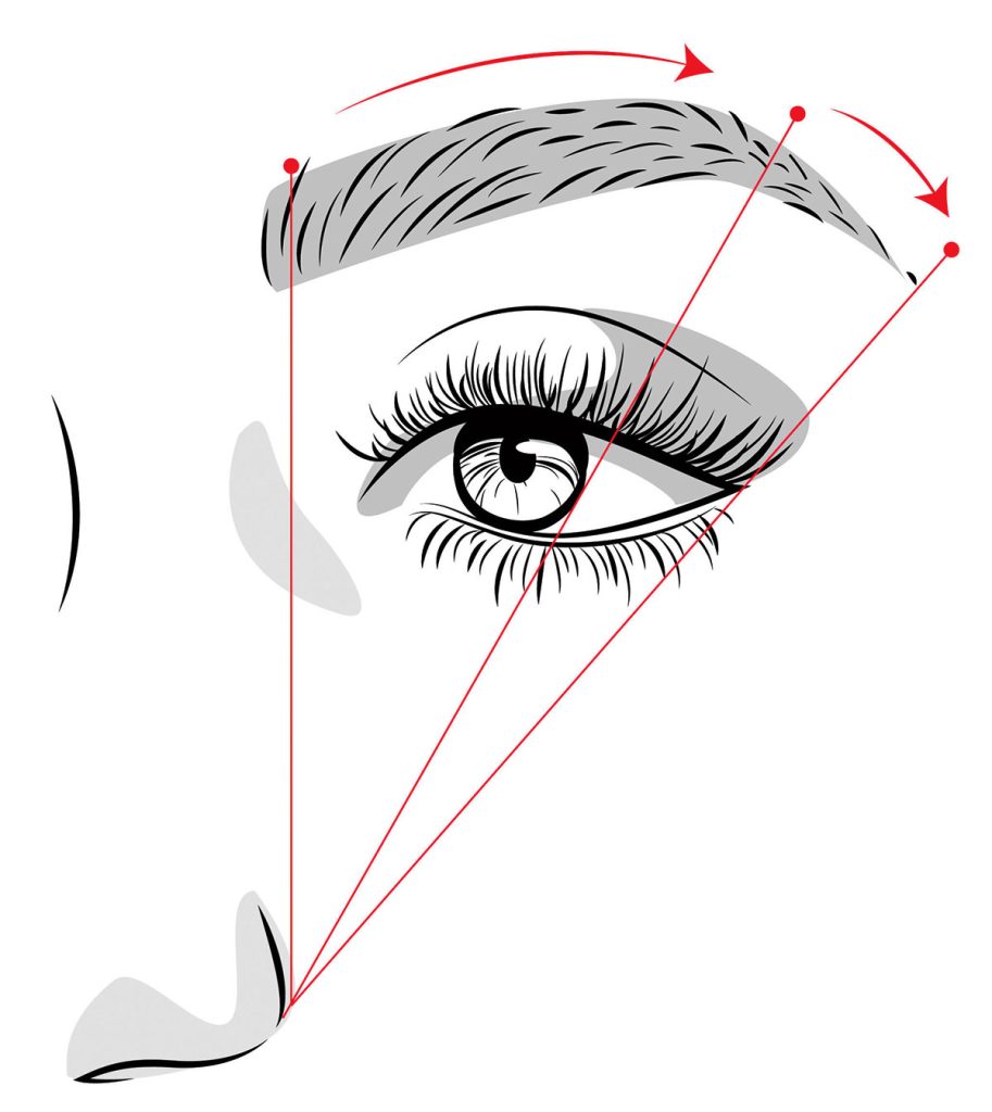 Dibujo para aprender a depilar las cejas