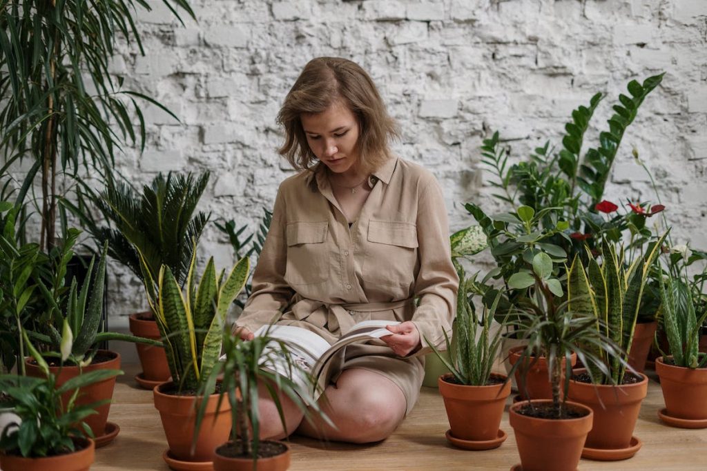 La idea de los Jardines en un bol se inspira en Japón y en sus kokedamas