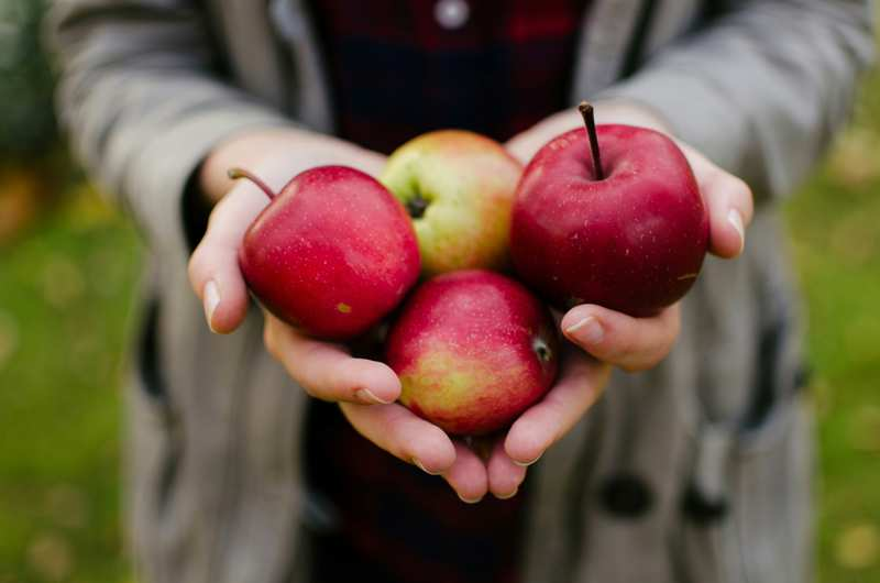 Manzanas beneficios