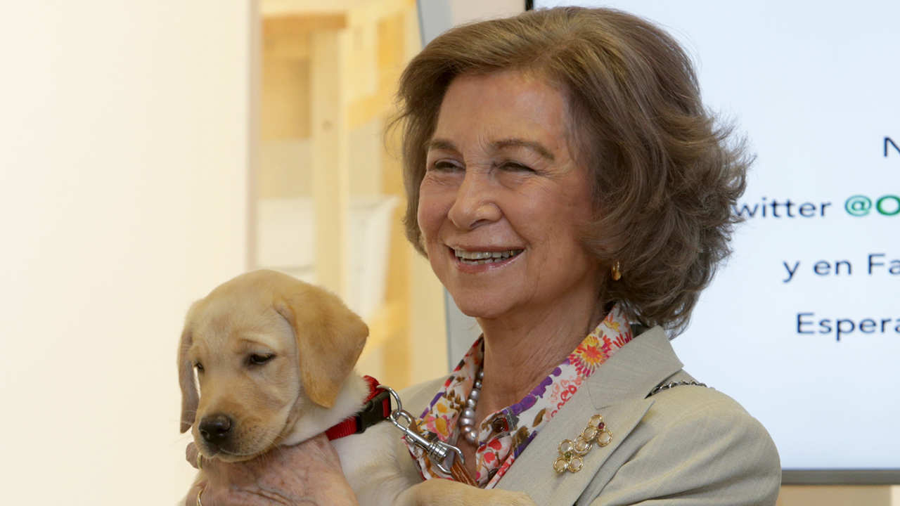 El divertido (y viral) vídeo de la Reina Sofía jugando con un perro en Málaga
