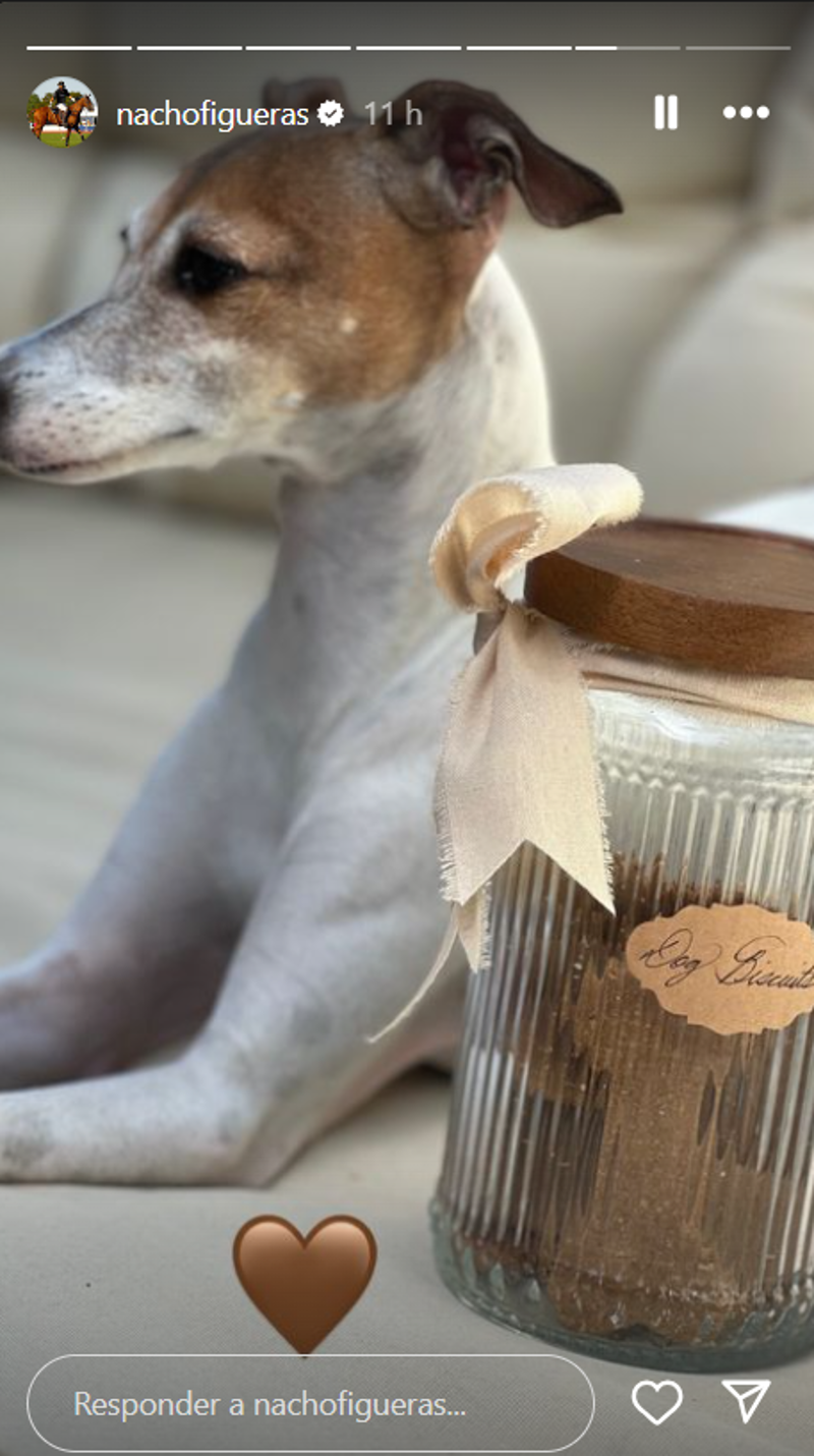 Nacho Figueras ha publicado uno de los productos de la firma, las galletas 'gourmet' de perro