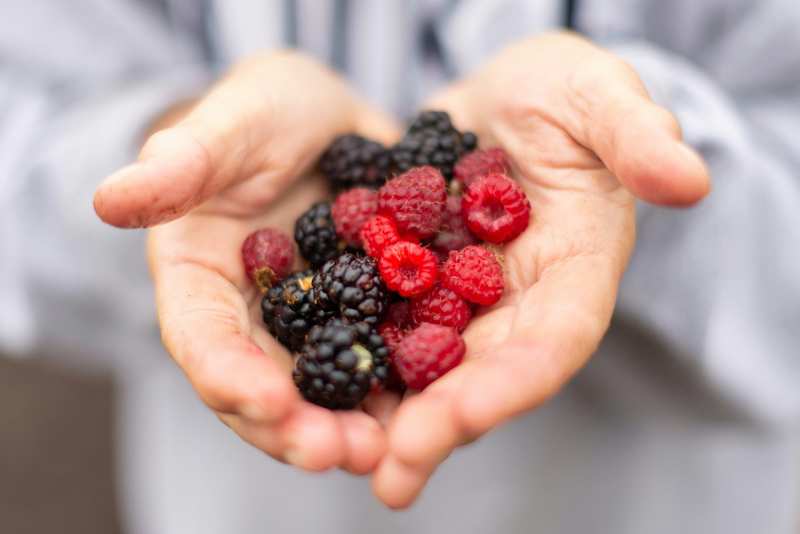 Frutos rojos